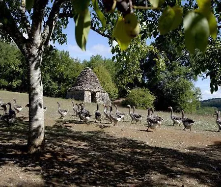 Ξενοδοχείο Domaine De La Rhonie Meyrals