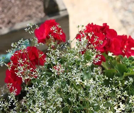 Domaine De La Rhonie Hotel Meyrals