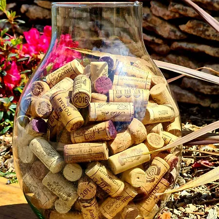 Domaine De La Rhonie