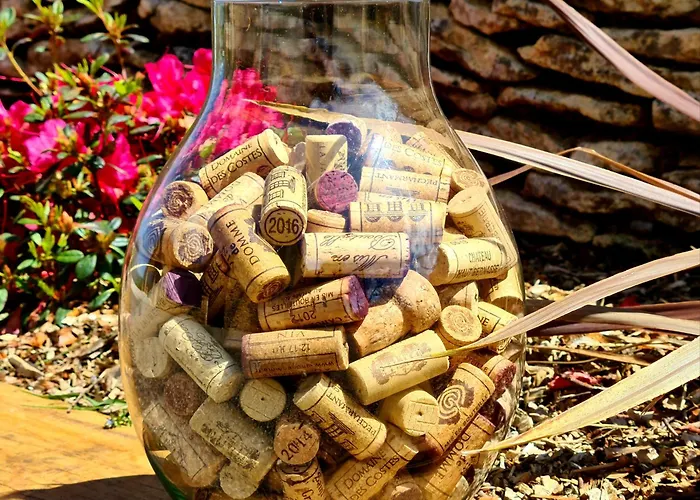 Domaine De La Rhonie